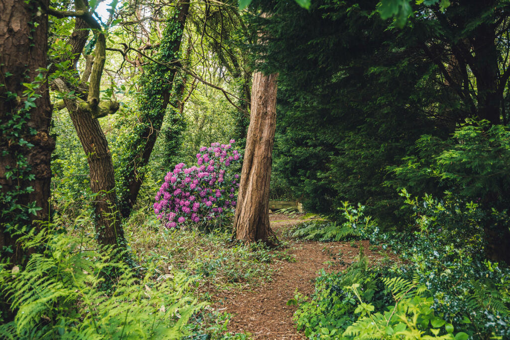 Additional image 22 of Mill Lane, Neston, CH64