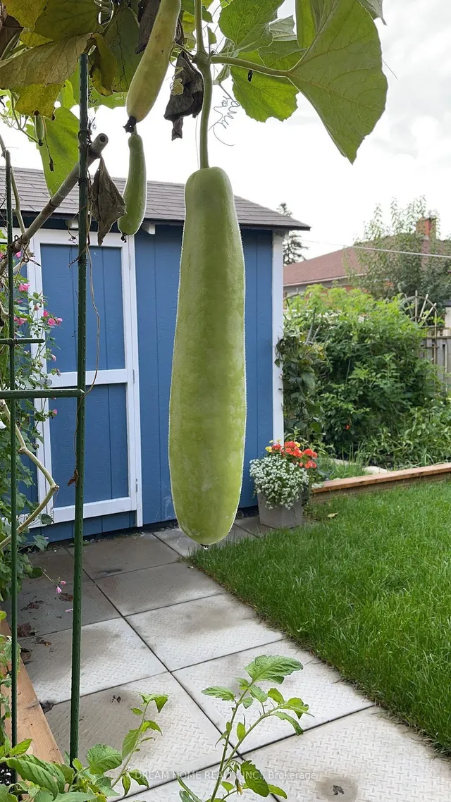 Additional image 27 of 21 Clydesdale Dr