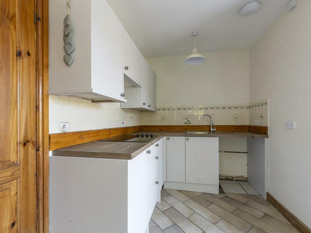 Additional image 8 of Queen Camel