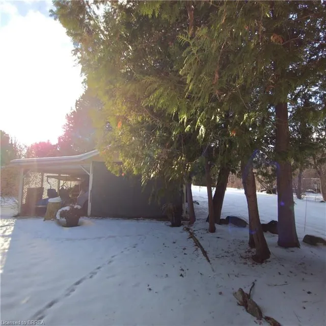 Additional image 17 of 59 Wow Wow Way