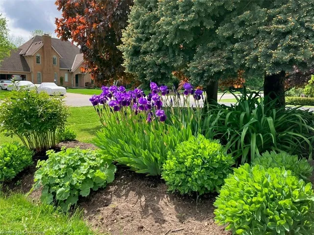 Additional image 24 of 21 Meander Close