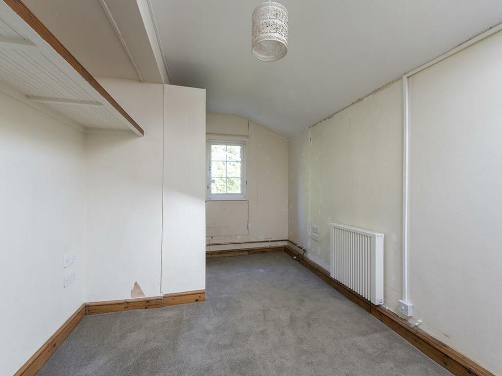 Additional image 10 of Queen Camel