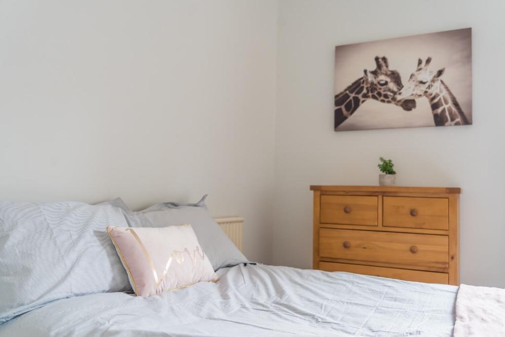 Additional image 17 of Bouverie Street, Chester, Cheshire, CH1