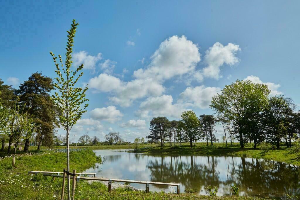 Additional image 10 of Denny End Road, 
Waterbeach, 
Cambridge, 
CB25 9QE