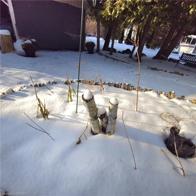 Additional image 21 of 59 Wow Wow Way