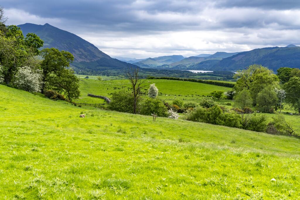 Additional image 10 of Robin Hood Farm, Bassenthwaite, Keswick, Cumbria CA12 4RJ