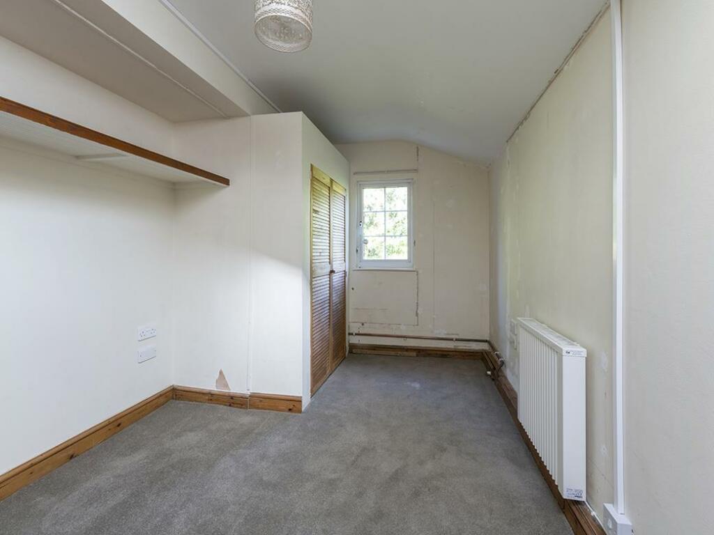 Additional image 9 of Queen Camel