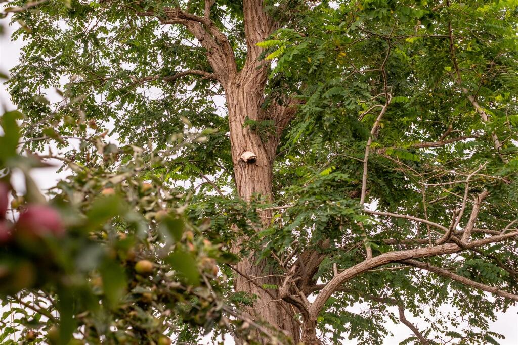 Additional image 43 of The Village, Burton, Cheshire