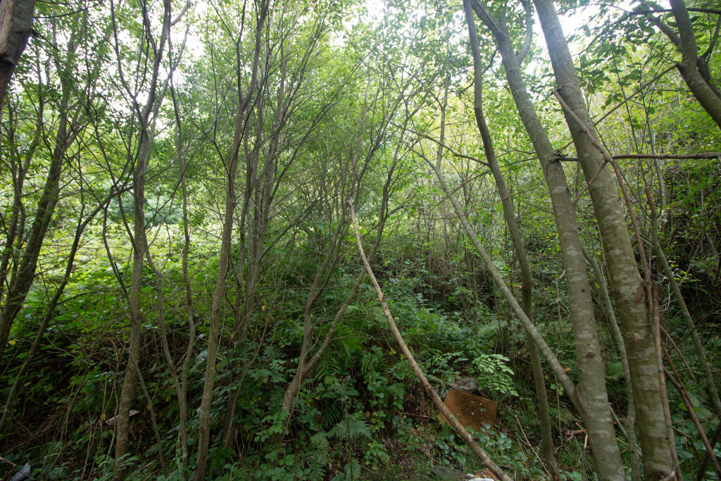 Additional image 6 of Land at Brynhyfryd Street, Aberdare, CF44 6LG