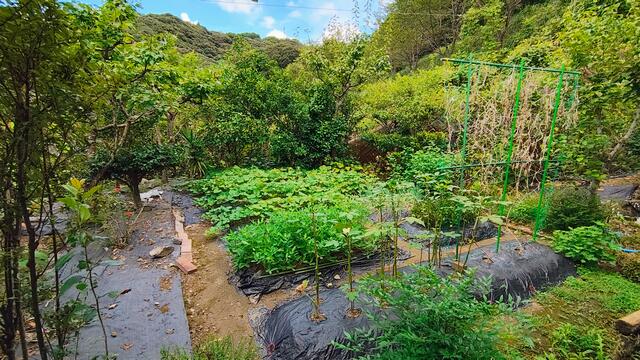 Additional image 27 of Fuwa, Shimanto City, Kochi Prefecture