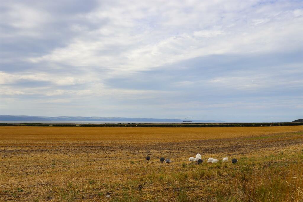 Additional image 25 of Ivy Cottage, Gileston