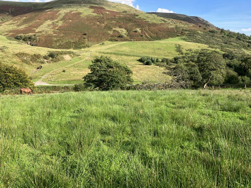 Additional image 3 of Approximately 43.49 acres of Land, North of Glyncoli Farm, Treorchy