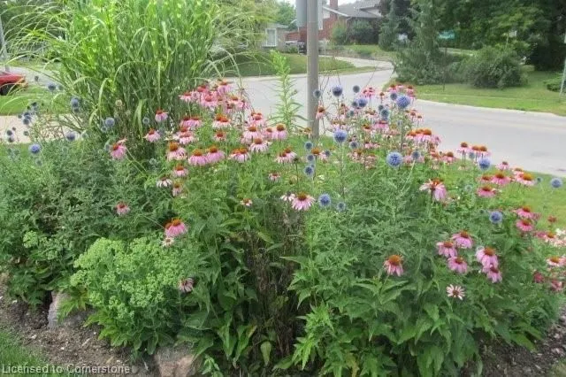 Additional image 39 of 40 Pleasant Ave