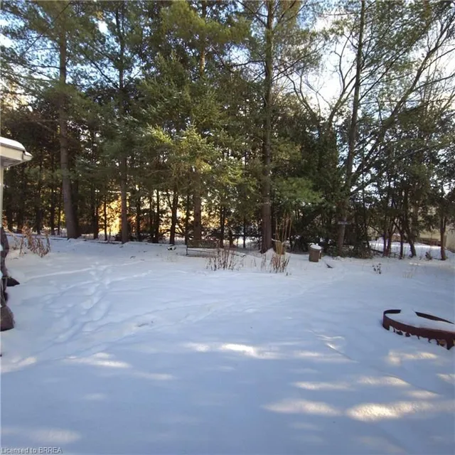 Additional image 27 of 59 Wow Wow Way