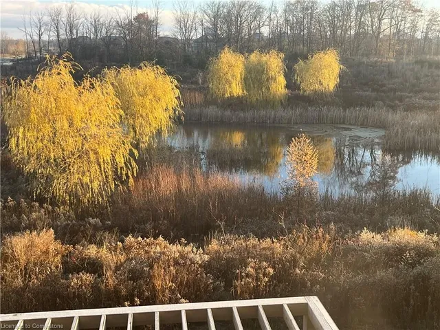 Additional image 28 of 64 Borers Creek Cir