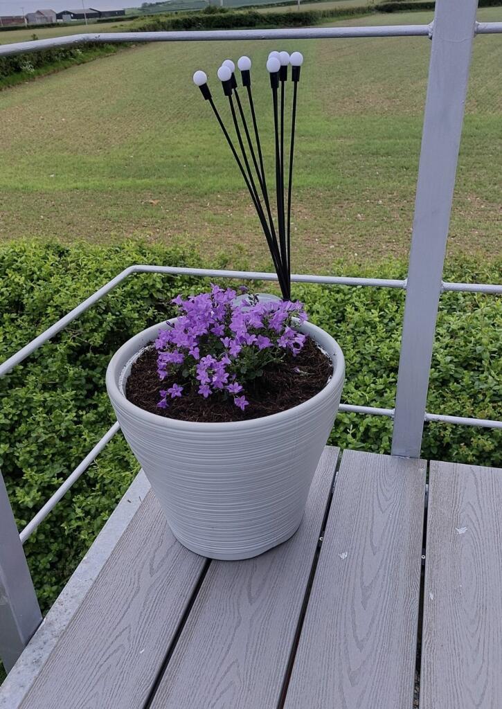 Additional image 47 of Tegfan, Gileston. Vale of Glamorgan. CF62 4HW