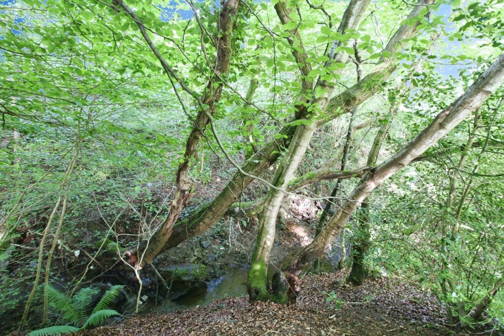 Additional image 27 of Heol-Y-Bryn, Pontypridd