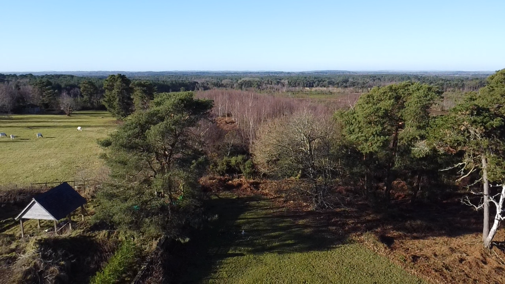 Additional image 17 of HURN ROAD, Ringwood