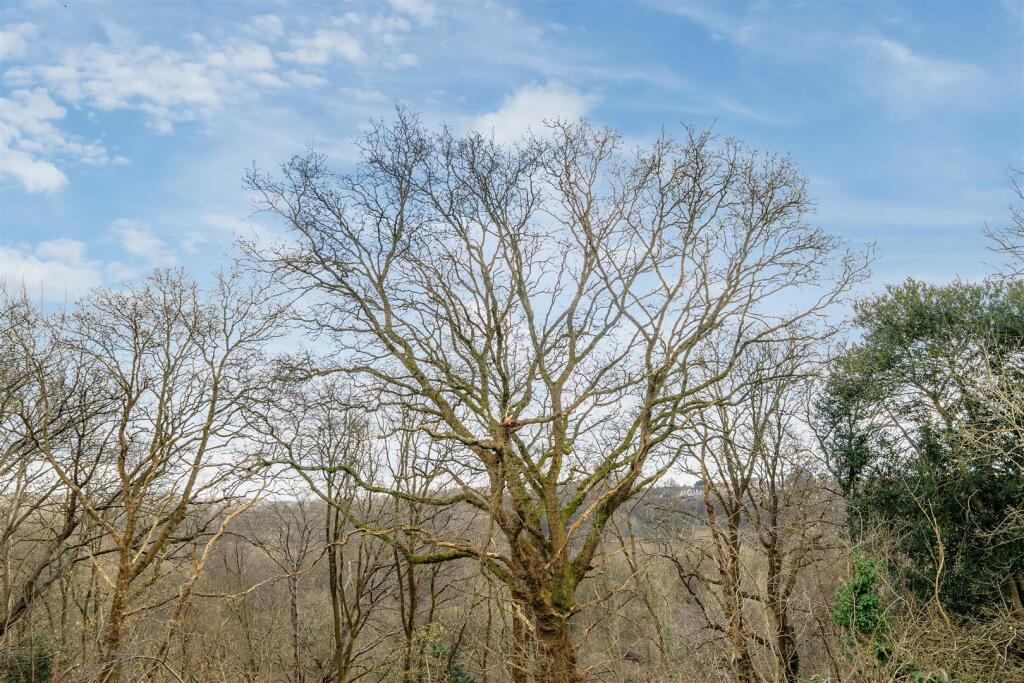 Additional image 10 of 34 Rochester Road, Bristol