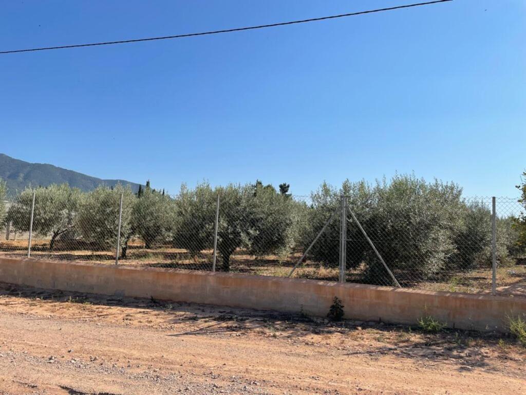 Primary image of Murcia, Librilla, Spain