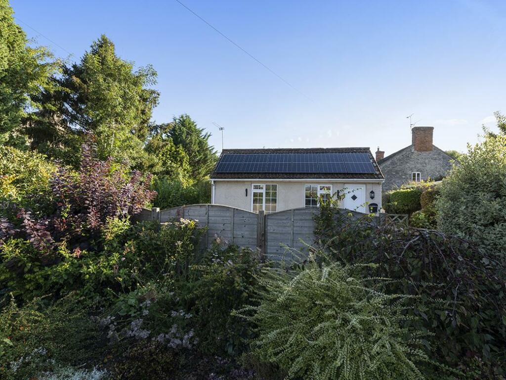 Additional image 13 of Queen Camel