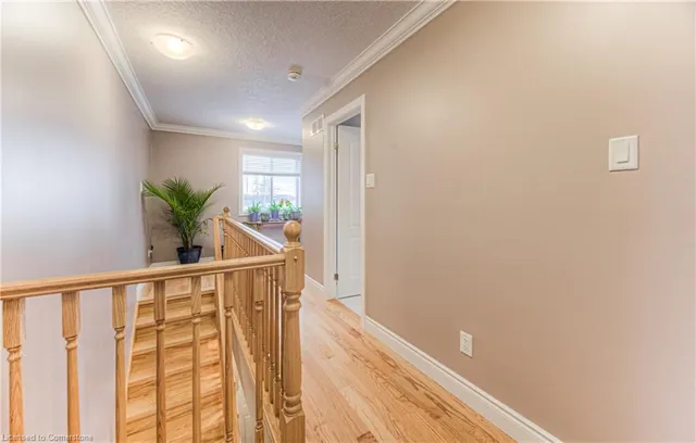 Additional image 35 of 82 Woolwich St