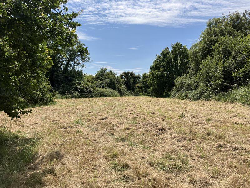 Additional image 9 of Approximately 1.05 acres of land, Cross Common Road, Dinas Powys, CF64 4TP