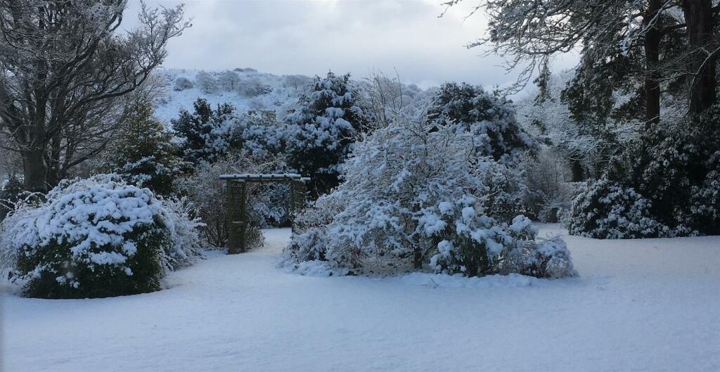 Additional image 41 of Embleton, Cockermouth