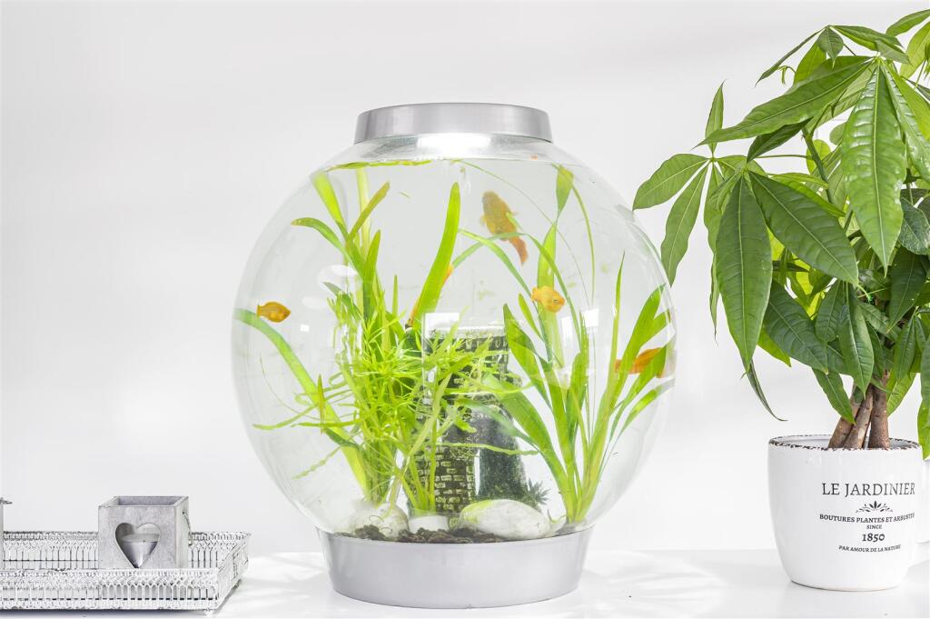 Additional image 18 of The Ridgeway, Seaford