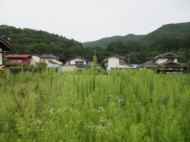 Additional image 14 of Nagano Prefecture, Kamiina District, Tatsuno Town, Oaza Ono