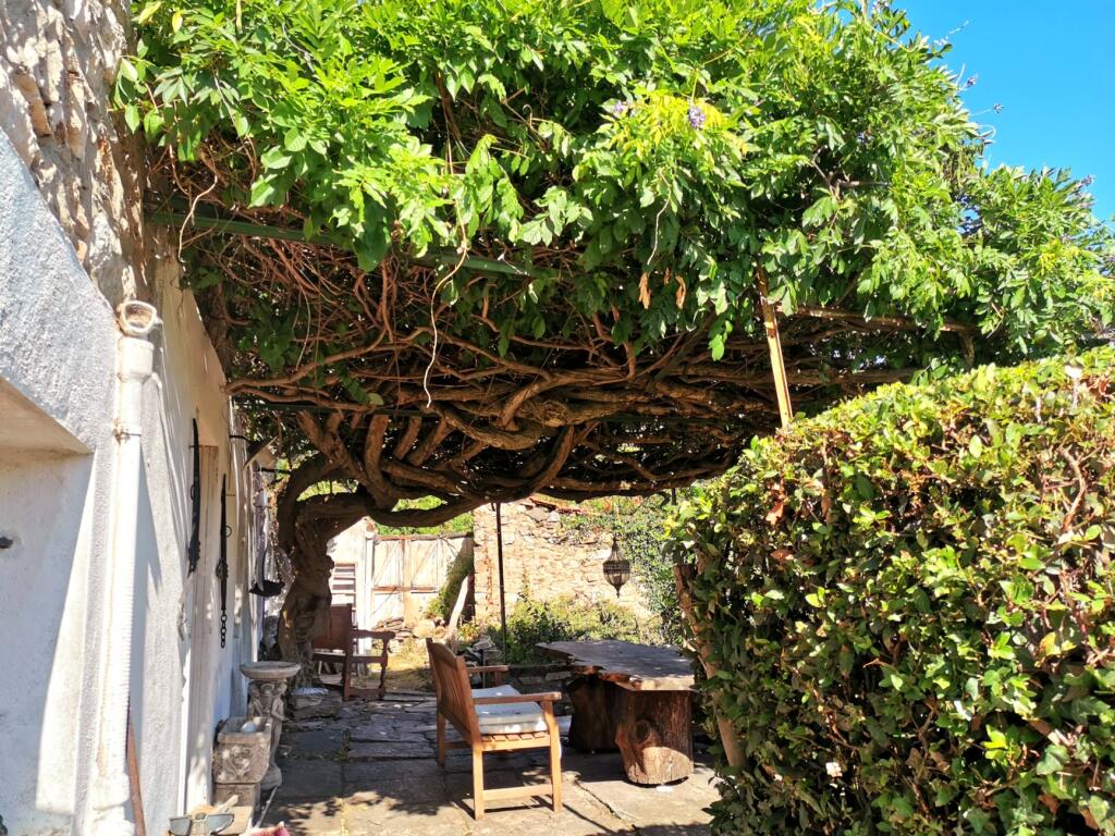 Primary image of Olargues, Languedoc-Roussillon, 34390, France