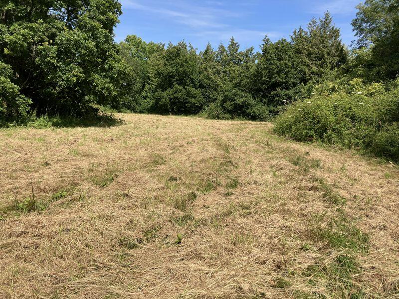 Additional image 2 of Approximately 1.05 acres of land, Cross Common Road, Dinas Powys, CF64 4TP