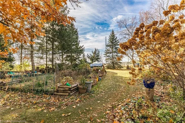 Additional image 16 of 9868 Twenty Rd