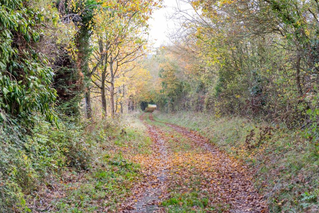 Additional image 19 of West Barn at Hedgerows Farm, Brent Eleigh, Suffolk
