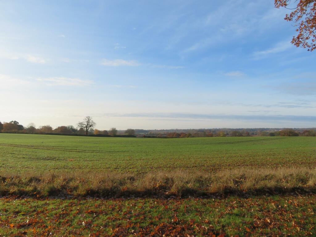 Additional image 8 of Chelmsford