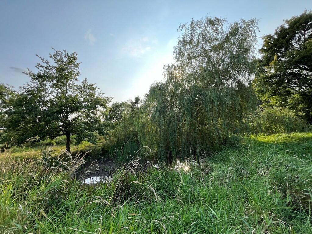 Additional image 6 of Land to the South of Edward Road, Thorpe-le-Soken