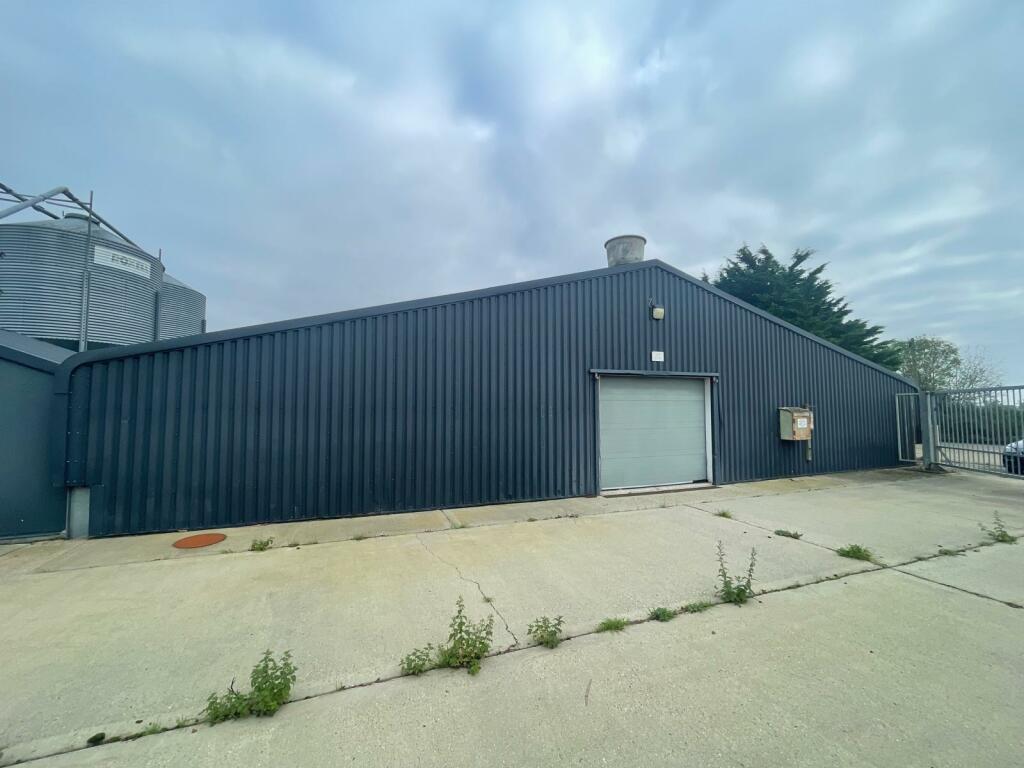 Primary image of Braintree