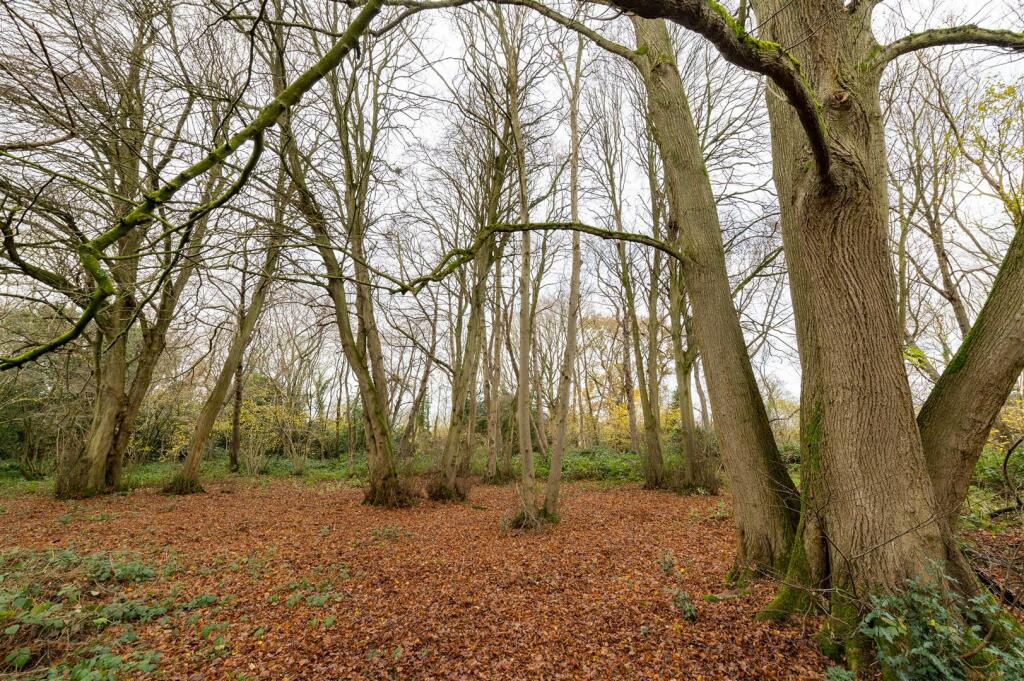Additional image 3 of Millfield Wood, Millwood Road, Polstead