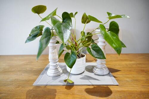 Additional image 10 of Bentfield Gardens, Stansted Mountfitchet