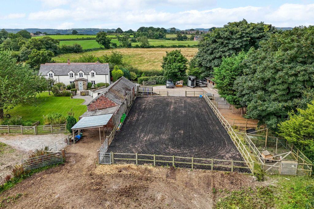 Additional image 25 of The Vownog Sychdyn, Mold