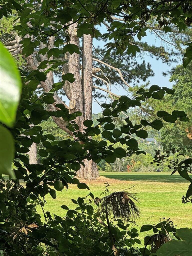 Additional image 36 of How Lane, Chipstead, Surrey
