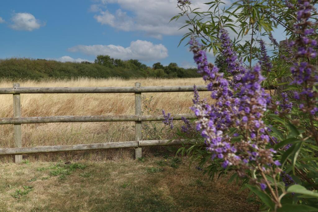 Additional image 7 of Cold Norton Road, Latchingdon, Chelmsford, Essex, CM3