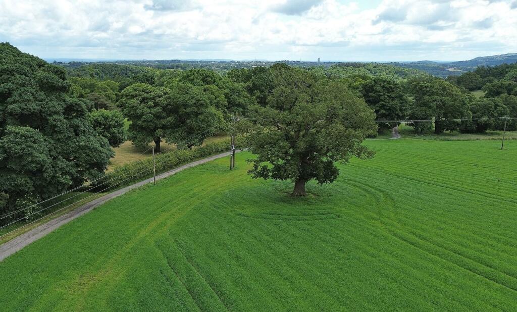 Additional image 23 of Gwysaney, Mold