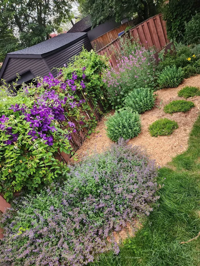 Additional image 29 of 98 Maplewood Ave