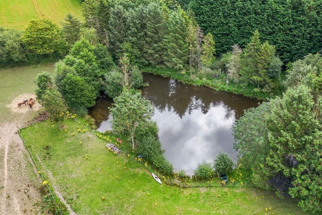 Additional image 9 of The Vownog Sychdyn, Mold