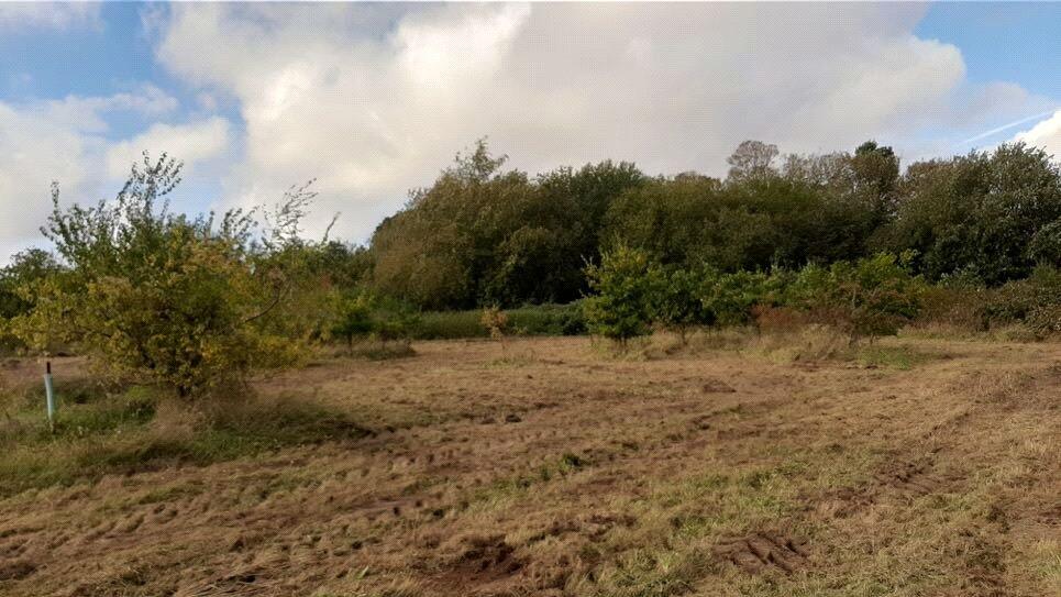 Additional image 5 of Lower Road, Lavenham, Sudbury, Suffolk, CO10