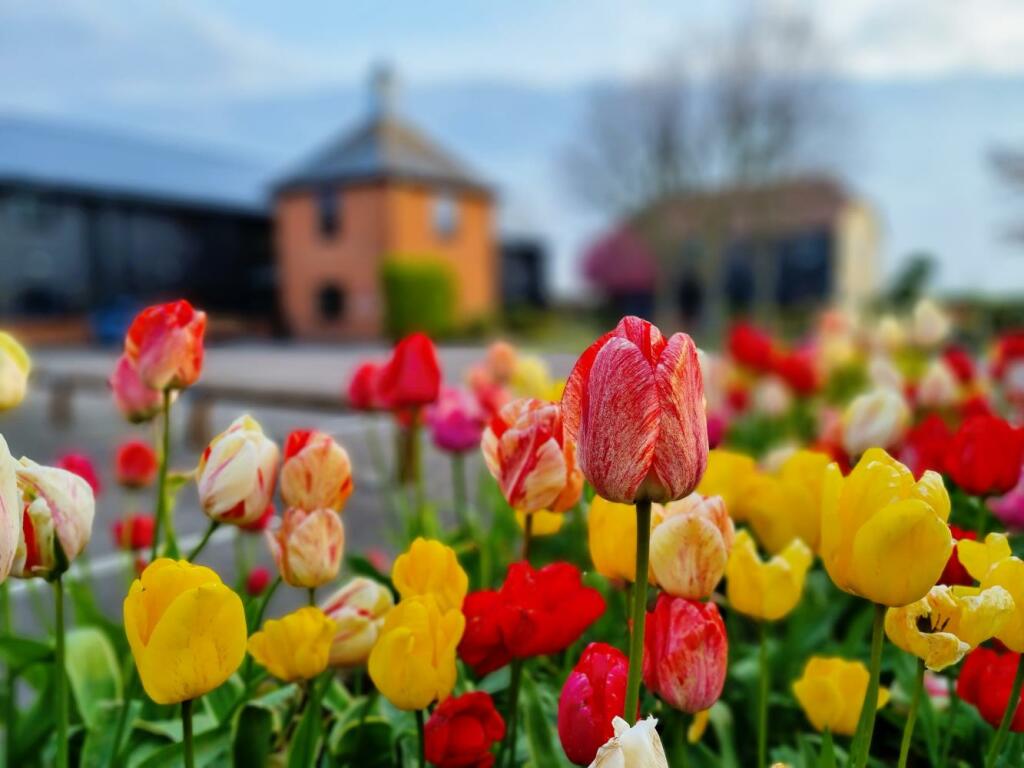 Additional image 8 of Lodge Park Business Centre