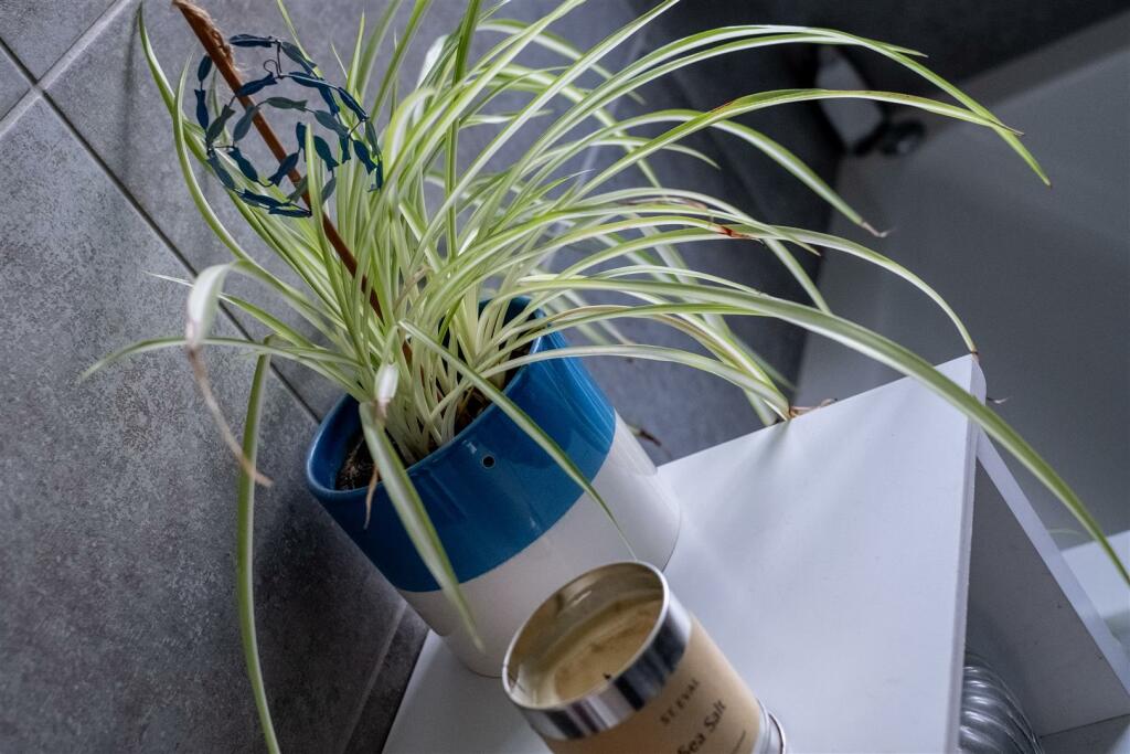 Additional image 17 of Victoria Road, Little Neston, NESTON