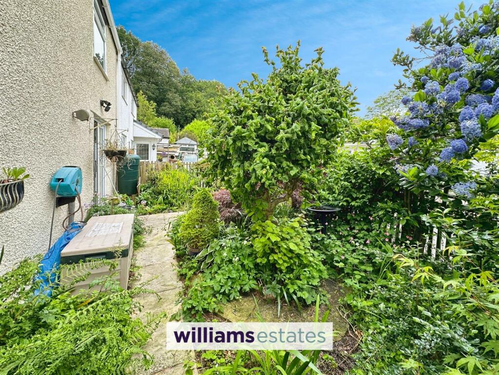 Additional image 3 of Coed-Talon, Mold