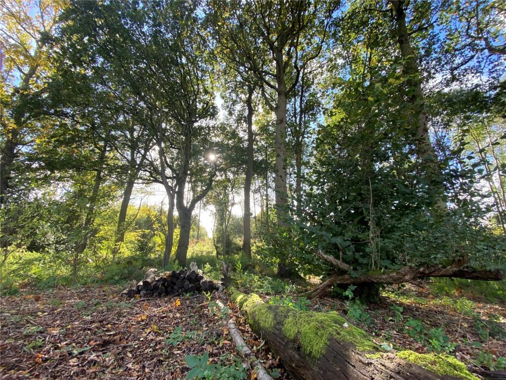 Additional image 11 of Plot 48 The Rosa, Chattowood, Clacton Road, Elmstead Market, Colchester, CO7